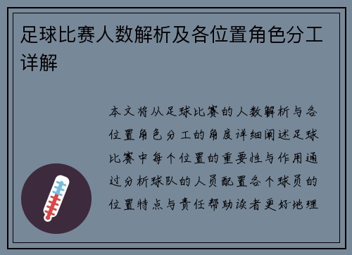 足球比赛人数解析及各位置角色分工详解