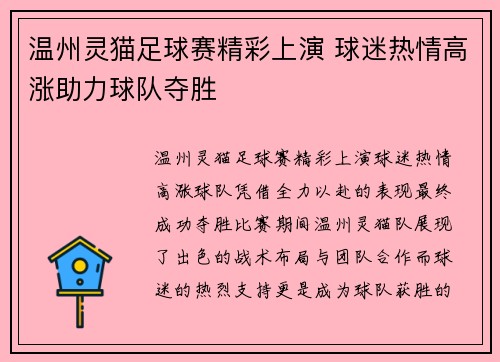 温州灵猫足球赛精彩上演 球迷热情高涨助力球队夺胜