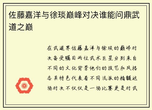 佐藤嘉洋与徐琰巅峰对决谁能问鼎武道之巅