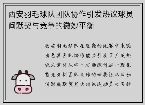 西安羽毛球队团队协作引发热议球员间默契与竞争的微妙平衡