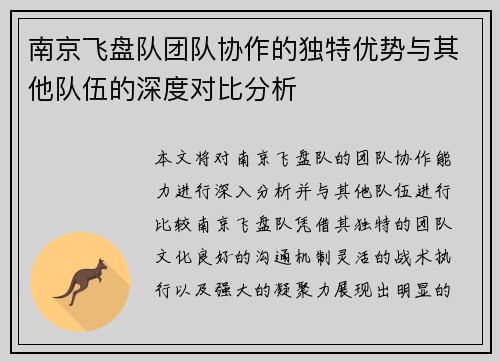 南京飞盘队团队协作的独特优势与其他队伍的深度对比分析