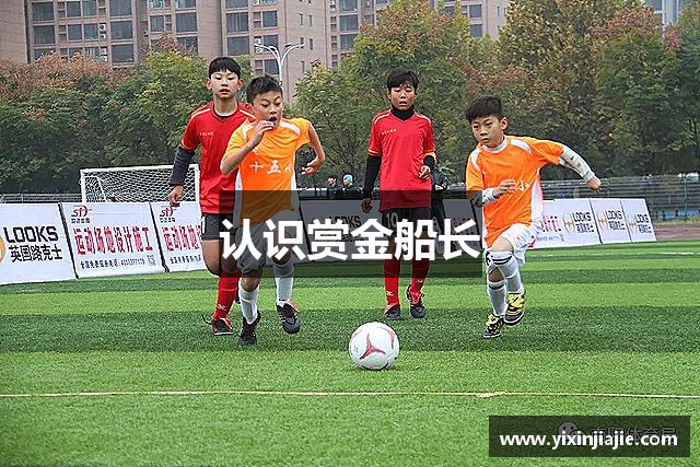认识赏金船长
